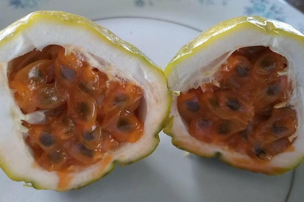 Case Creole Independante Proche Mer 라 골레트 외부 사진